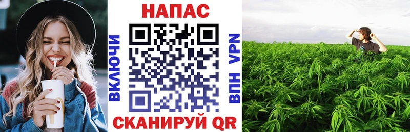 MEGA ONION  Чехов  Марихуана марихуана 